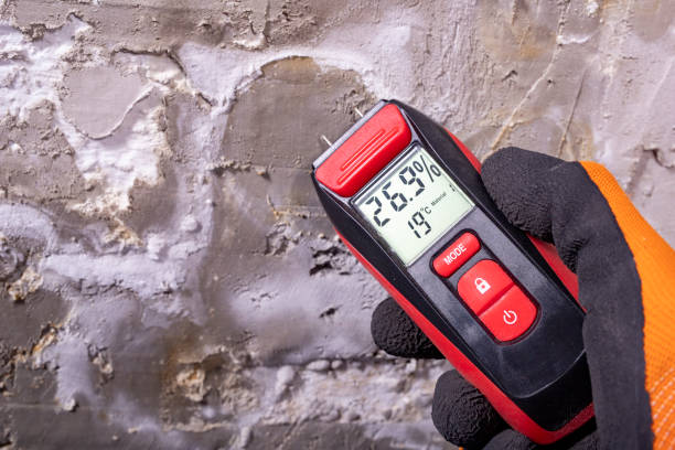 Best Home Mold Removal  in Kirkland, IL